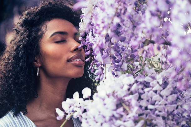 WHY IS THE POWER OF SCENT SO POWERFUL?